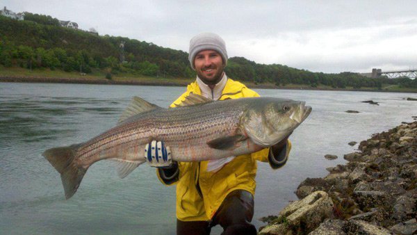 Top 3 Lures for Fishing Striped Bass in the Cape Cod Canal – Cape Cod  Fishing Tips